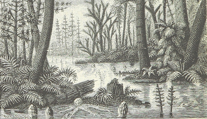 The British Library Adds One Million Public Domain Images to Flickr