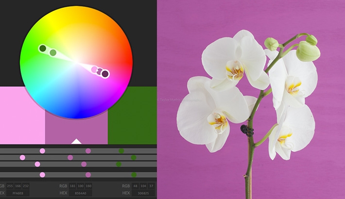 Gaining Inspiration Through Using A Color Wheel