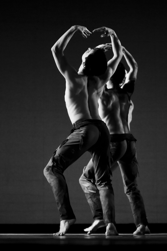 Essence-Ballet-Ingrid-Bugge-28.jpg?_ga=2