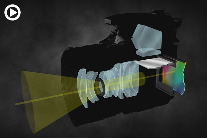 How a DSLR Camera Works: Free Lesson From Photography 101