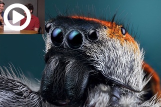 Critique the Community   Macro Photoghraphy