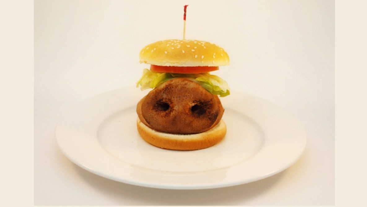 "Mystery Meat" Examines Disconnect Between the Meat We Consume and its Source