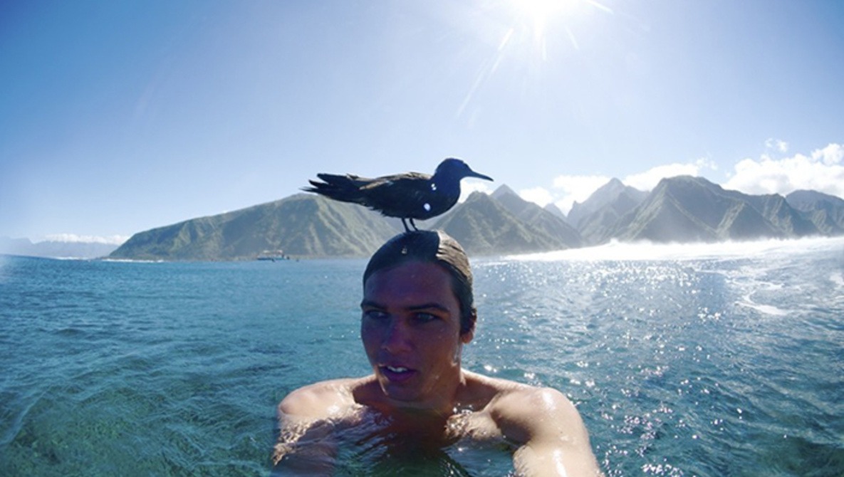 Surf Photographer Makes Friends With Tahitian Waterfowl