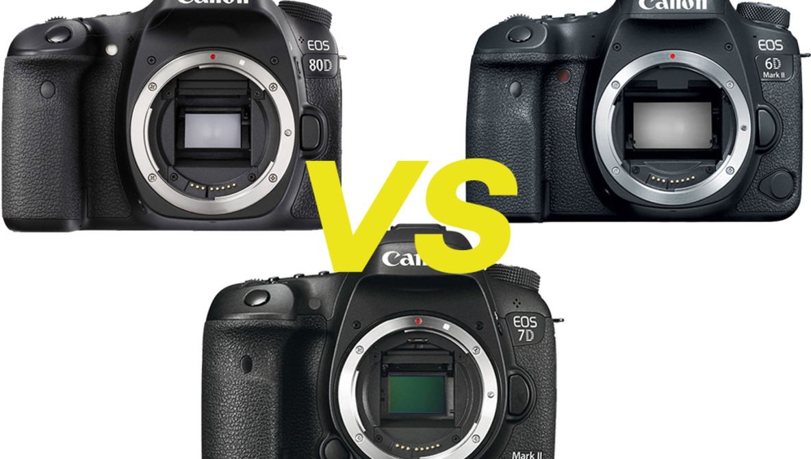 Canon 6D Mark II Vs. 80D and 7D Mark II In-Depth Review