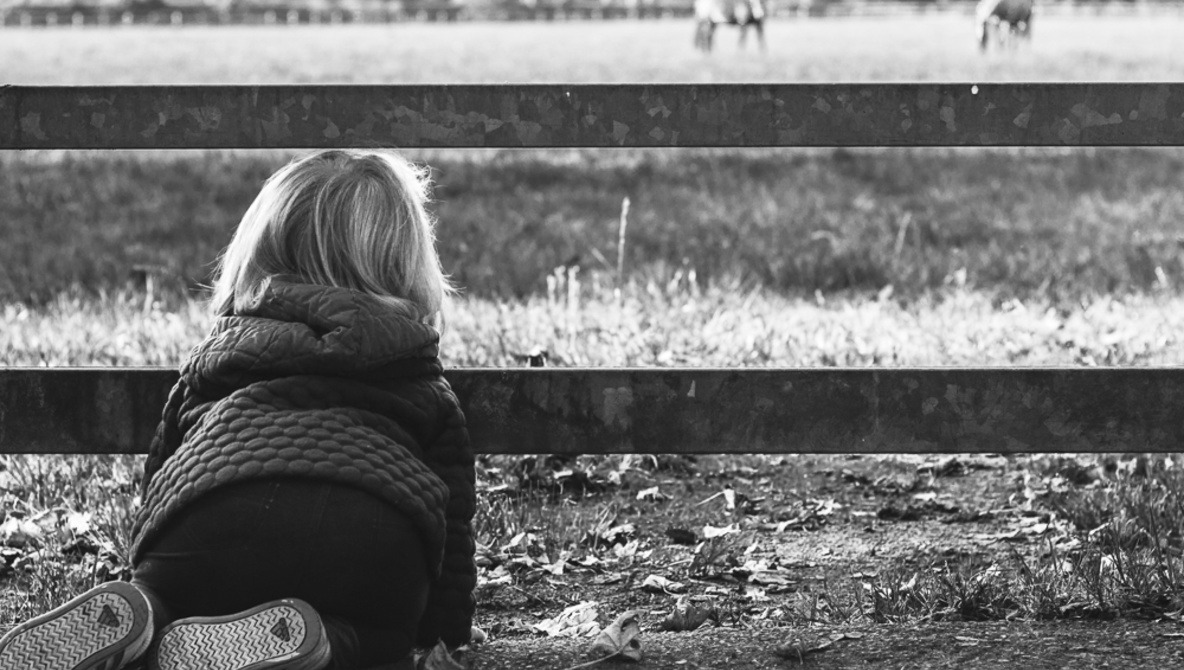 little girl looking through fence. toddler on hands and knees outside. black and white photo of a child looking at two horses in a field.