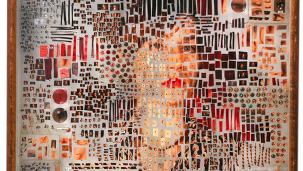 Michael Mapes Creates Photographic Specimen Boxes