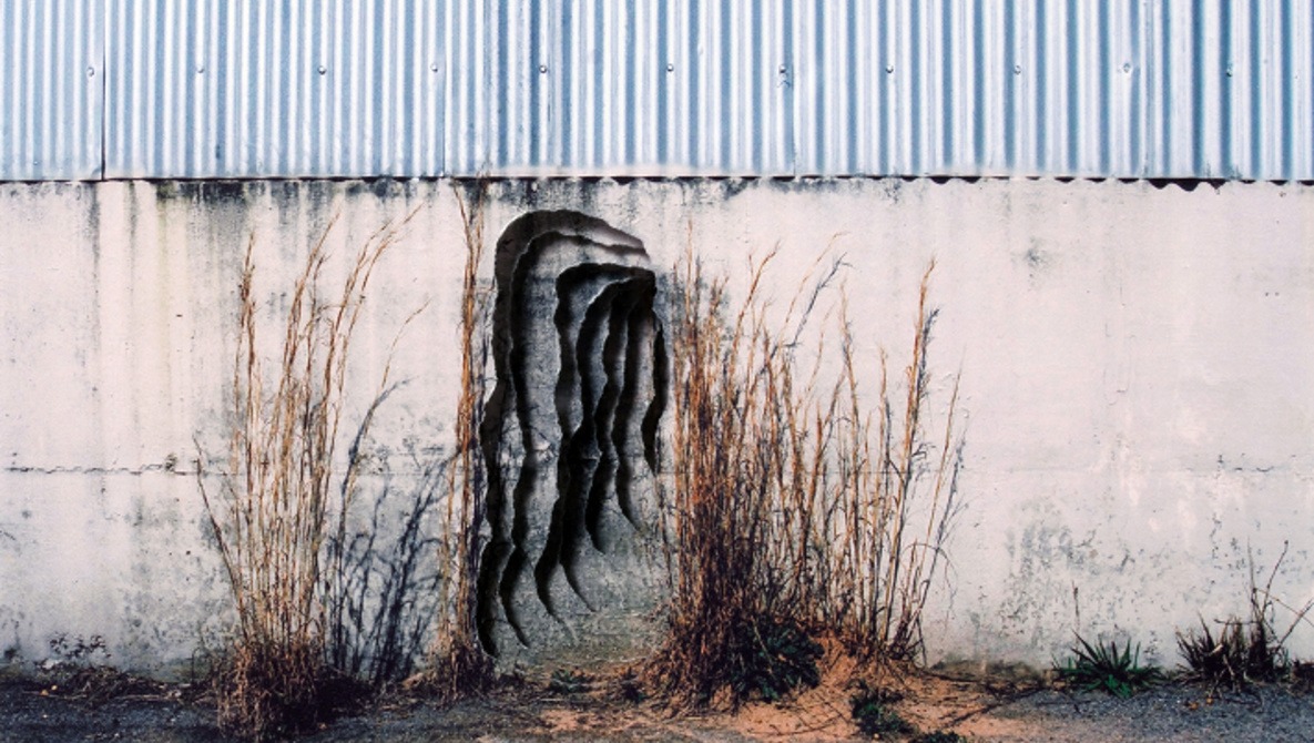 Scott Hazard's Series of Torn Photographs