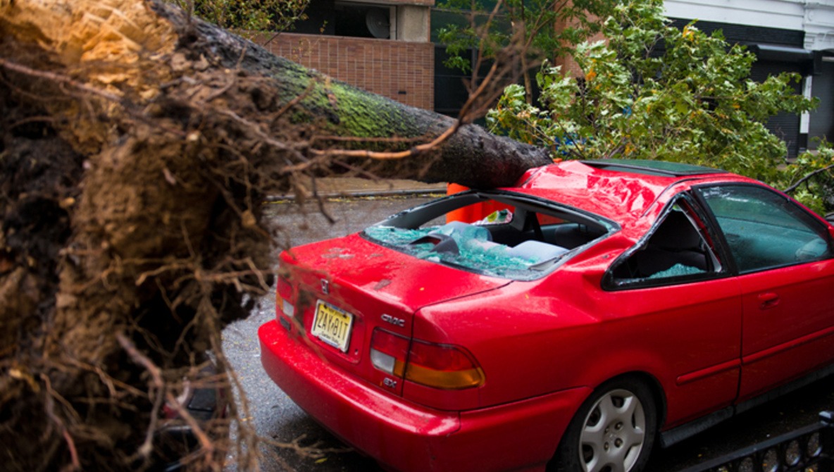 On the Ground: The FS Perspective of Hurricane Sandy