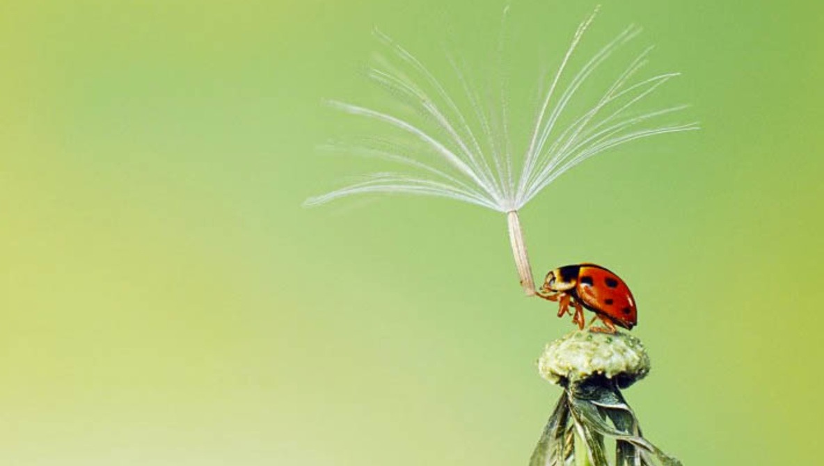The 2013 Sony World Photography Competition is Narrowing Down