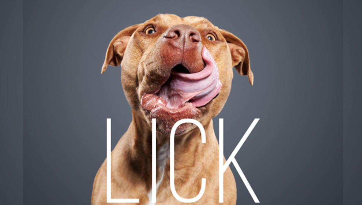 Ty Foster Takes a Shot at Unique Pet Photography with His "Lick" Project