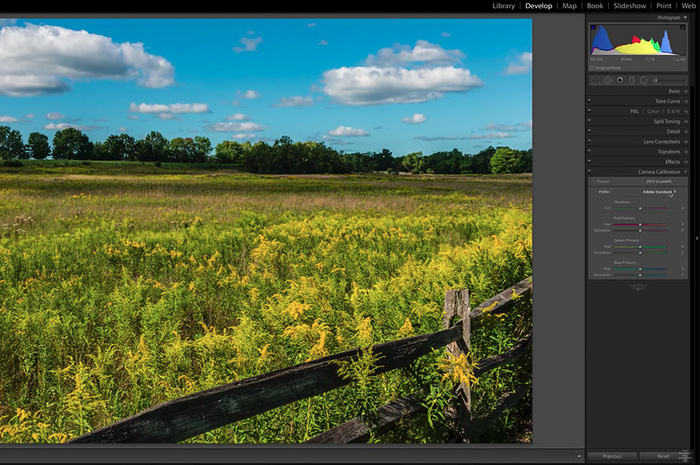 That Tab in Lightroom You Never Knew About: Camera Calibration