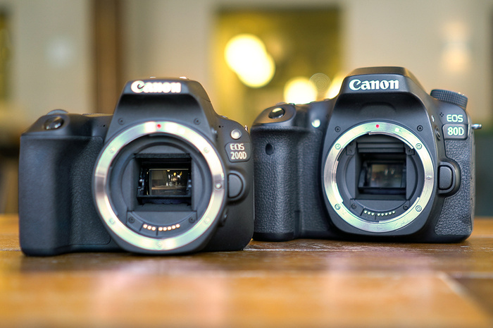 Canon SL2/200D Vs. Canon 80D: Best Entry-Level Camera Comparison
