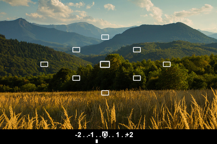 Understanding Your Camera's Internal Light Meter and Metering Modes