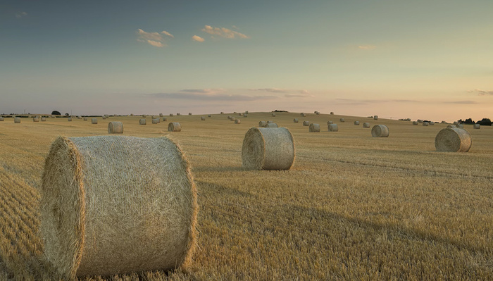 A Guide to Graduated ND Filters and When to Use Them in Landscape Photography