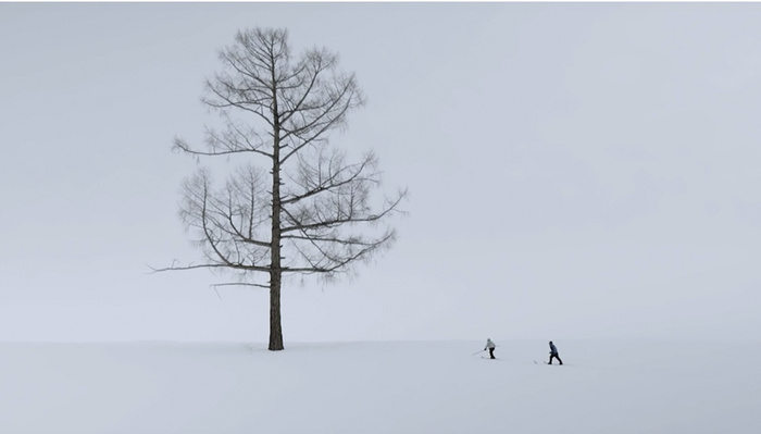 Jordan Manley Artistically Films ‘A Skier's Journey’ by Tim Behuniak Jordan Manley Artistically Films ‘A Skier's Journey’