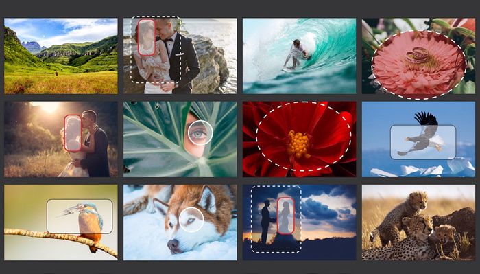 Canon's RAISE Online Community Platform Utilizes A.I. to Organize, Auto-Tag Photos