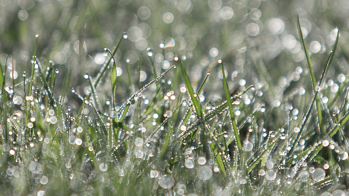 Spring Photography Is Hard: Here Are Seven Tips