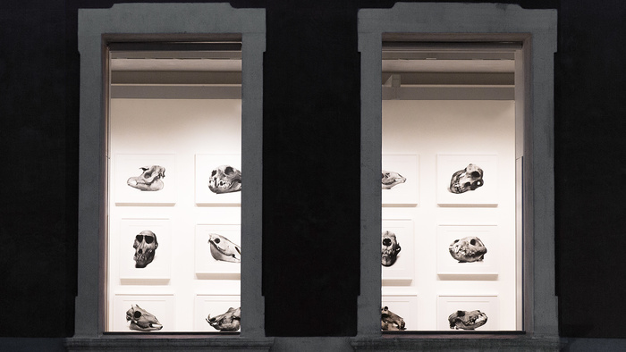 Lesser Known Photography Galleries: Seek Them Out by Mark Dunsmuir Lesser Known Photography Galleries: Seek Them Out