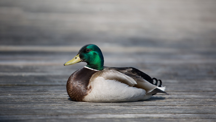 Three Reasons Why Mimimalism Can Help Create a Better Photo by Mike Dixon Three Reasons Why Mimimalism Can Help Create a Better Photo