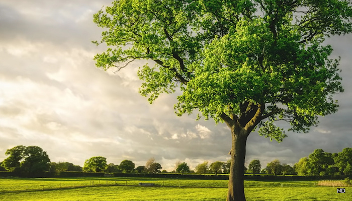 When You Should Use Photoshop Over Lightroom