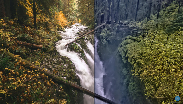 Is AI the Future of Editing Images?