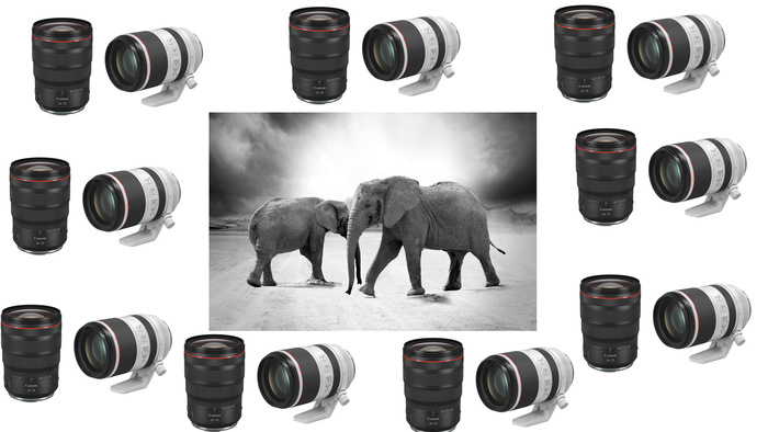 If Canon Doesn't Fix This Huge Problem, Its Mind-Blowing Roadmap for 2021 Will Be Utterly Pointless for Many