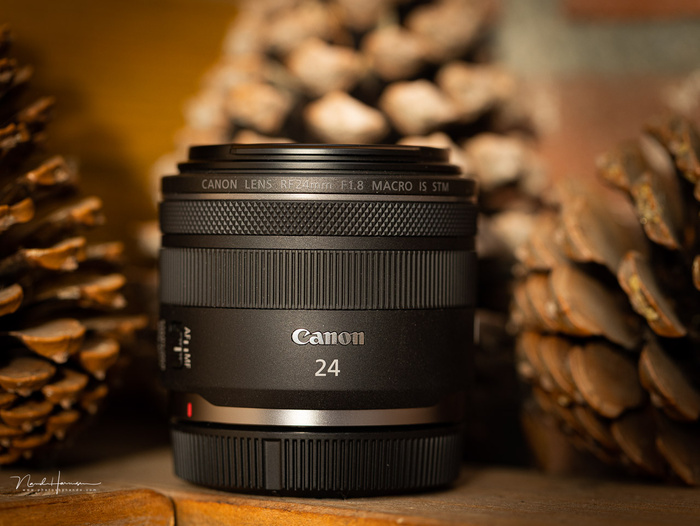 We Review the Canon RF 24mm f/1.8 Macro IS STM Lens | Fstoppers