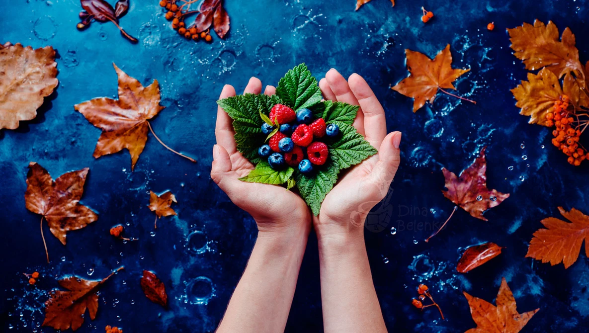 Hands holding fresh red berries and green leaves against a blue surface scattered with autumn leaves.