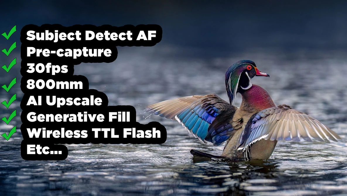 Wood duck swimming in water with wings partially raised, displaying iridescent plumage in blue and purple tones.