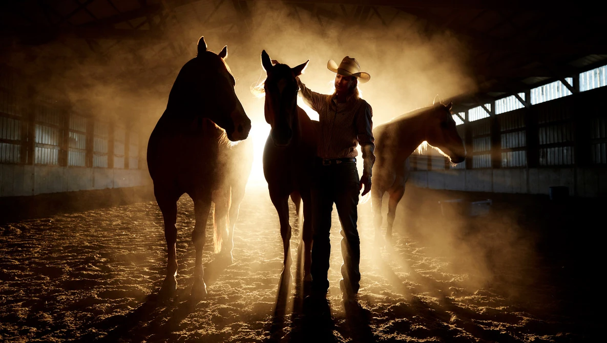 Silhouetted handler leading horses through dust-filled barn interior backlit by golden light.