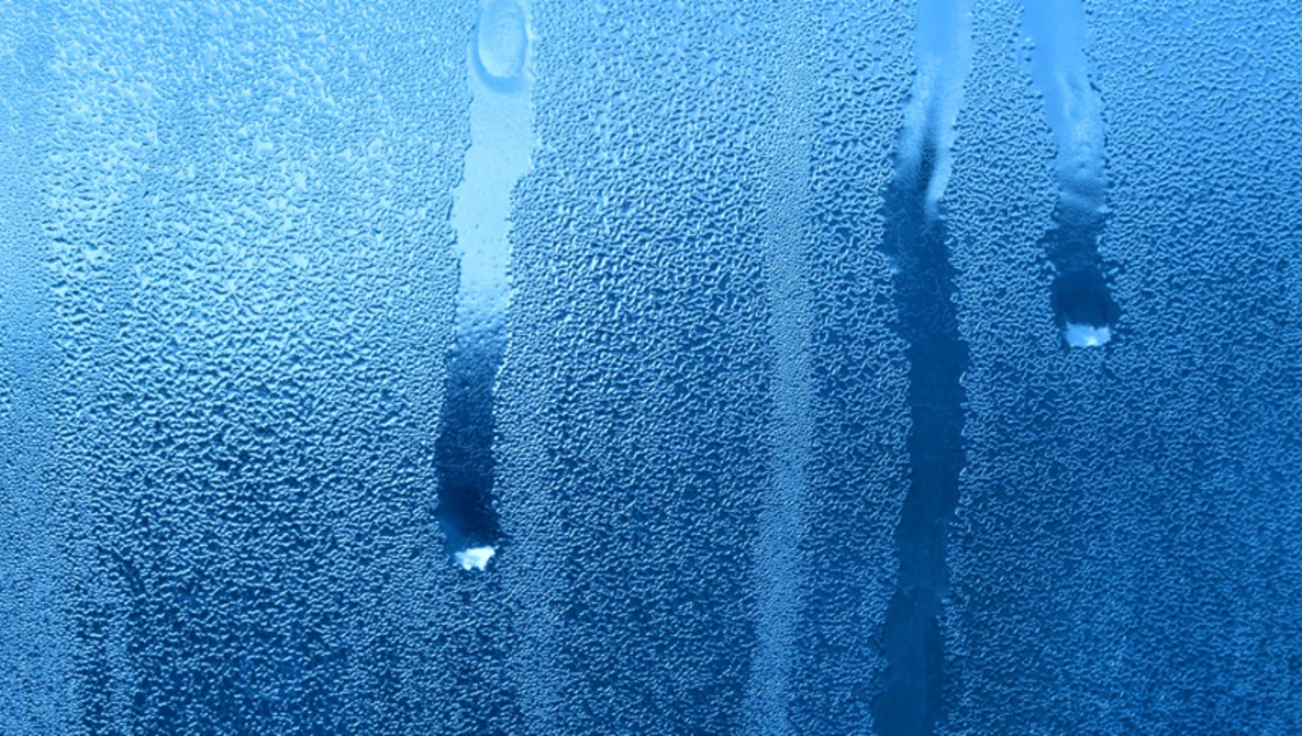 Critique the Community: Submit Your Best Interpretation of "Wet" Images