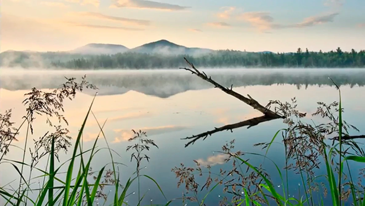 Watch B&H Prospectives: Landscape Photography | Robert Rodriguez Jr. on YouTube.