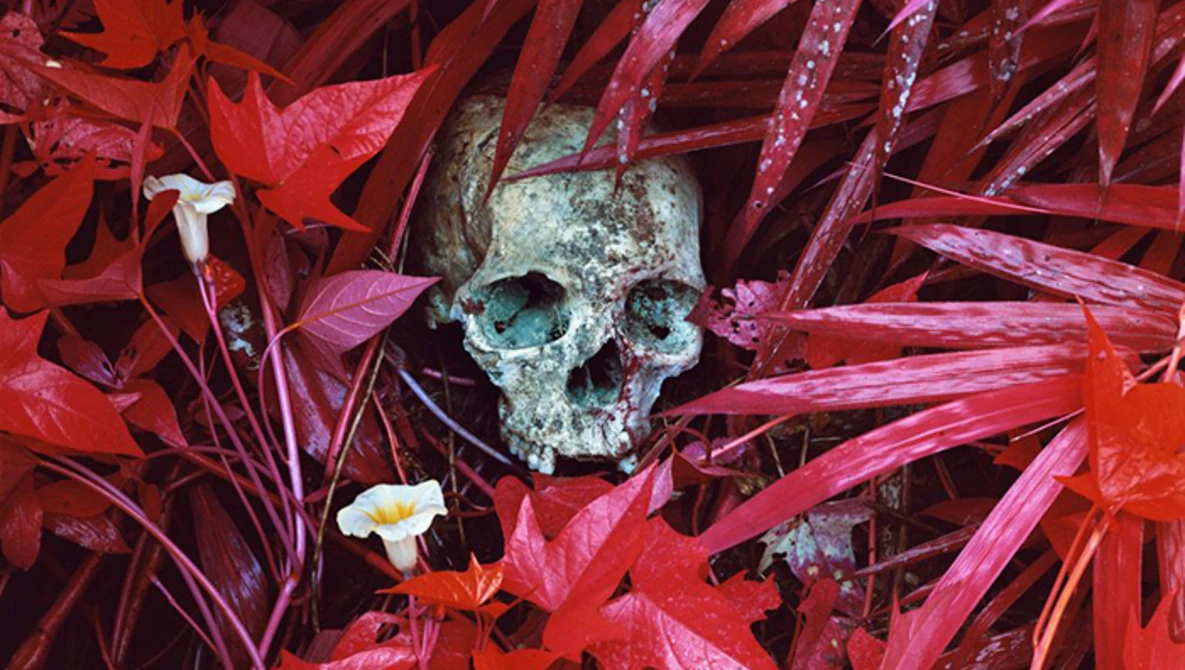 Watch Richard Mosse: The Impossible Image on Vimeo.