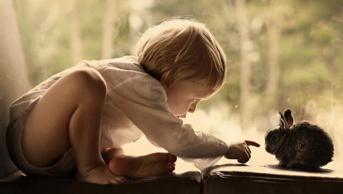 Watch Mom Captures Childhood of Her Sons - Elena Shumilova on YouTube.