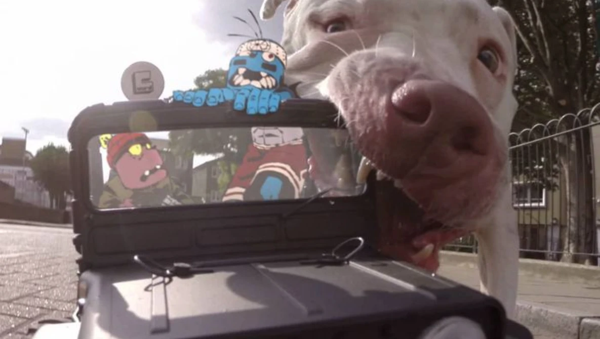 Watch Amaro and Walden's Joyride on Vimeo.