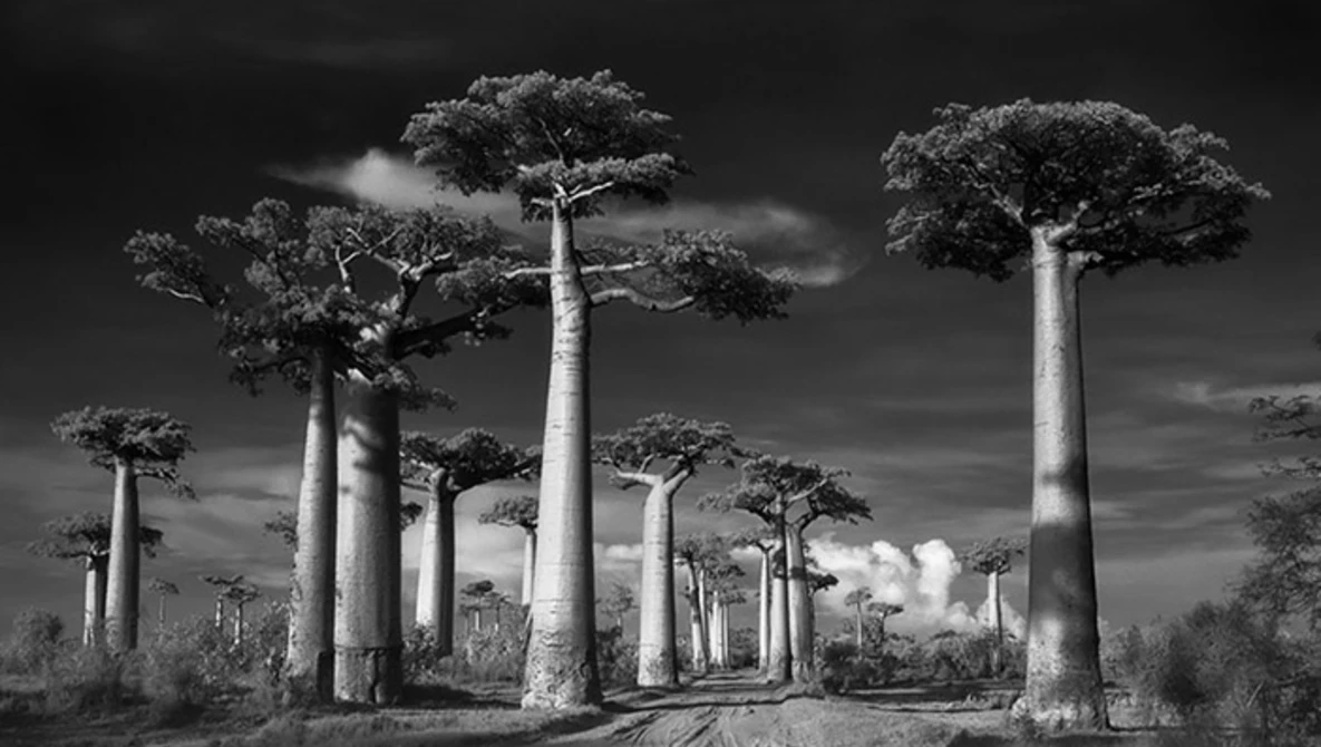 Watch Beth Moon on YouTube.