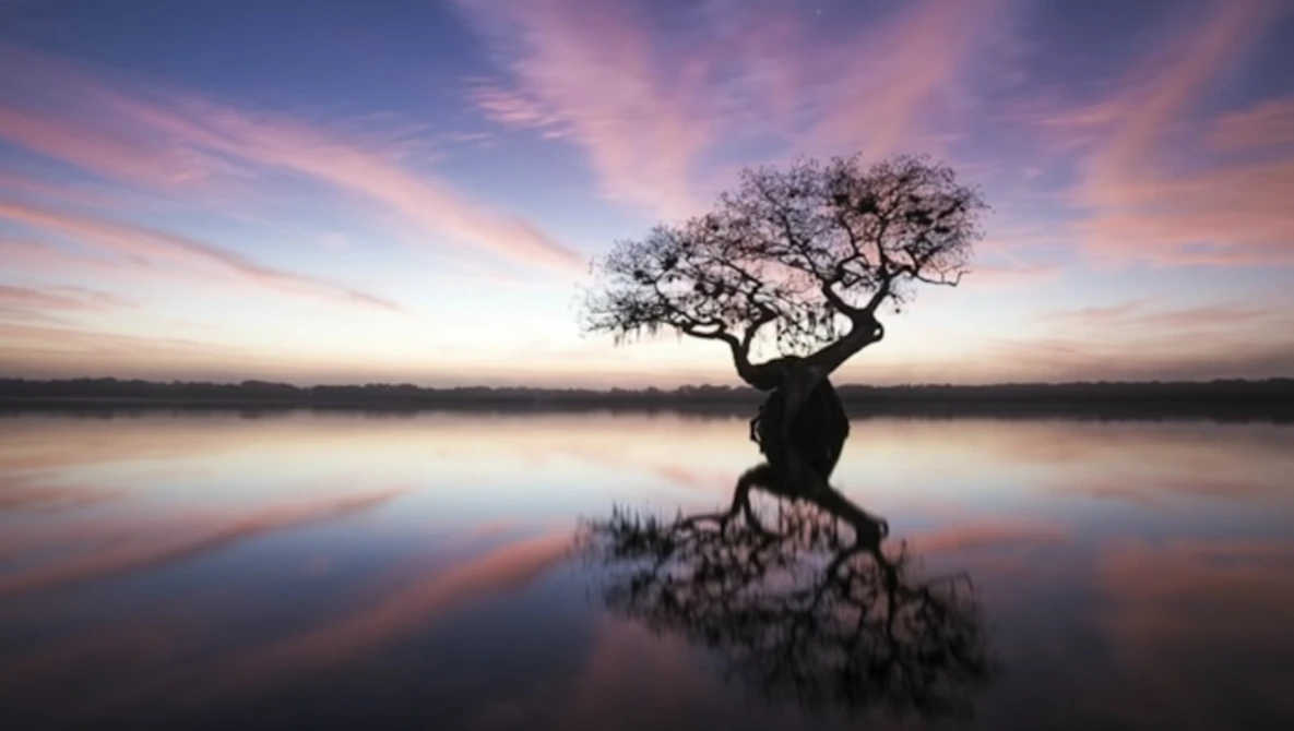 Watch Stunning Photos of the Endangered Everglades | Mac Stone | TED Talks on YouTube.