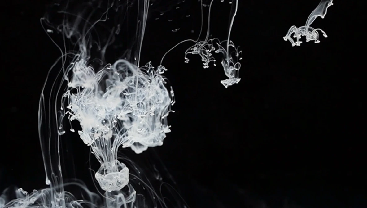 Watch Black & White In Color on Vimeo.