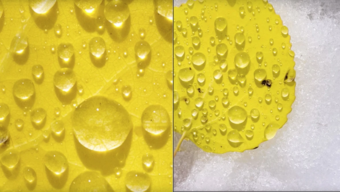 Watch Gear #1: Canon 5DS R vs Canon D2000 DSLR on YouTube.