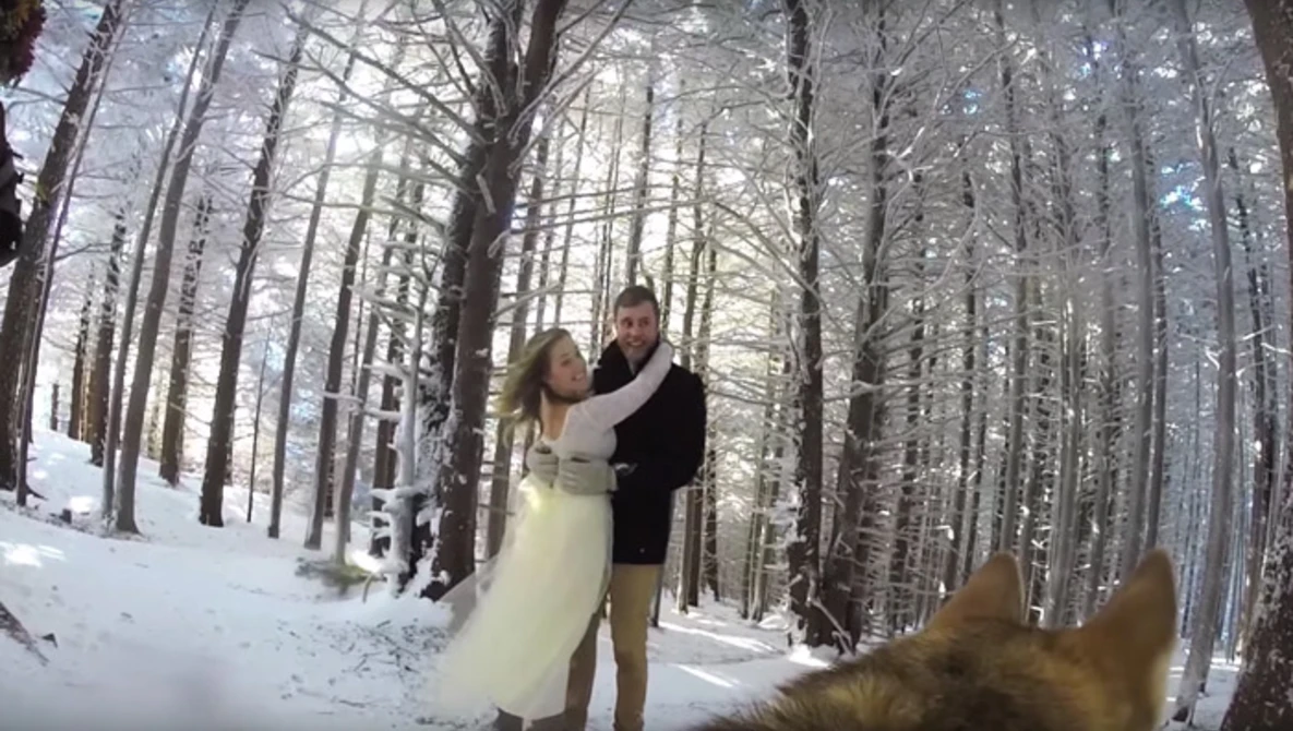Watch GoPro: Our Snowy Wedding (from our dog's perspective) on YouTube.