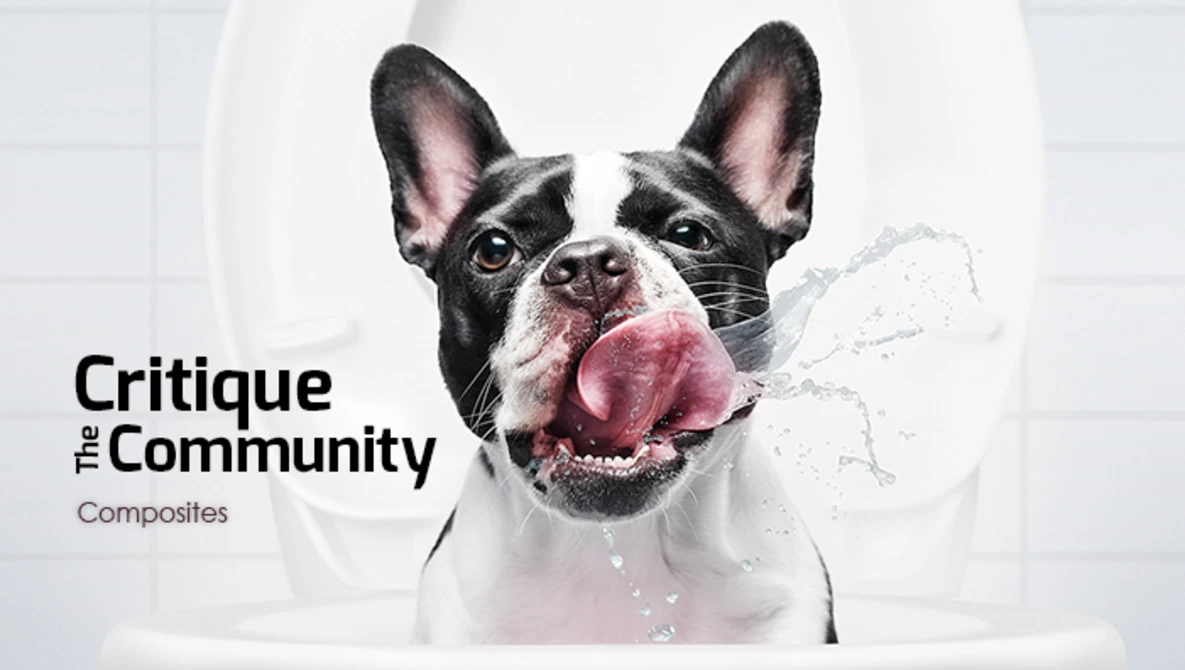 Watch Critique the Community 13: Composite Photography on YouTube.