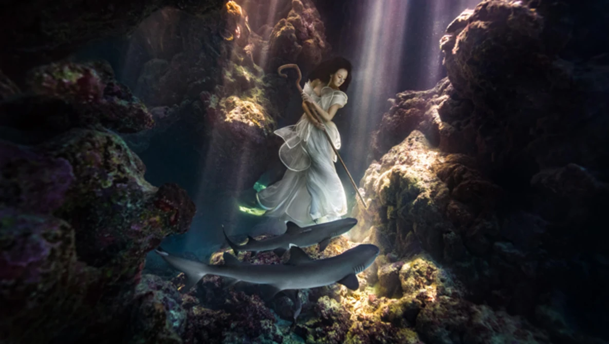 Watch Model Tied Down with Sharks to Create Surreal Shark Shepherd Photoshoot on YouTube.