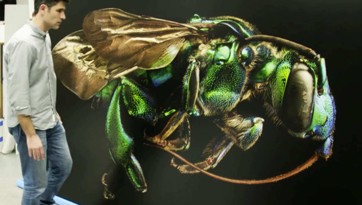 Watch Microsculpture on Vimeo.