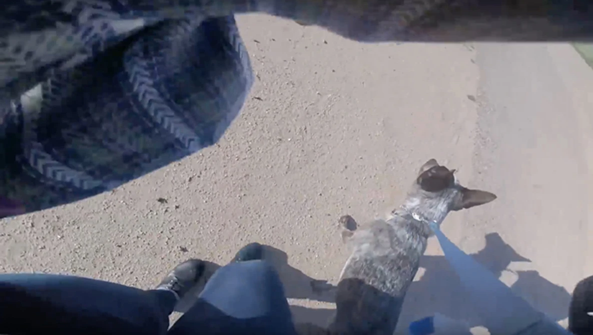Watch Woman Steals Drone - GoPro Records It All on YouTube.