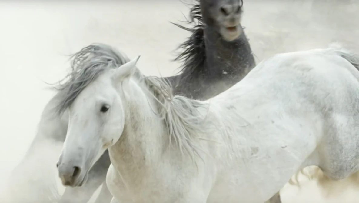 Watch Planet Earth II: Official Extended Trailer | BBC Earth on YouTube.