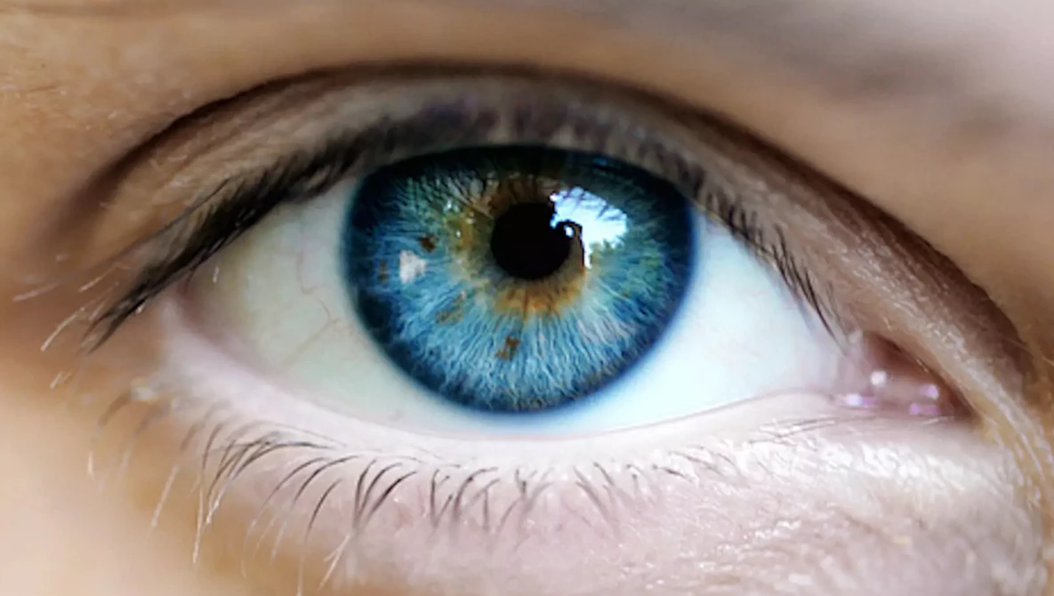 Watch Happiness Drives Everything on Vimeo.