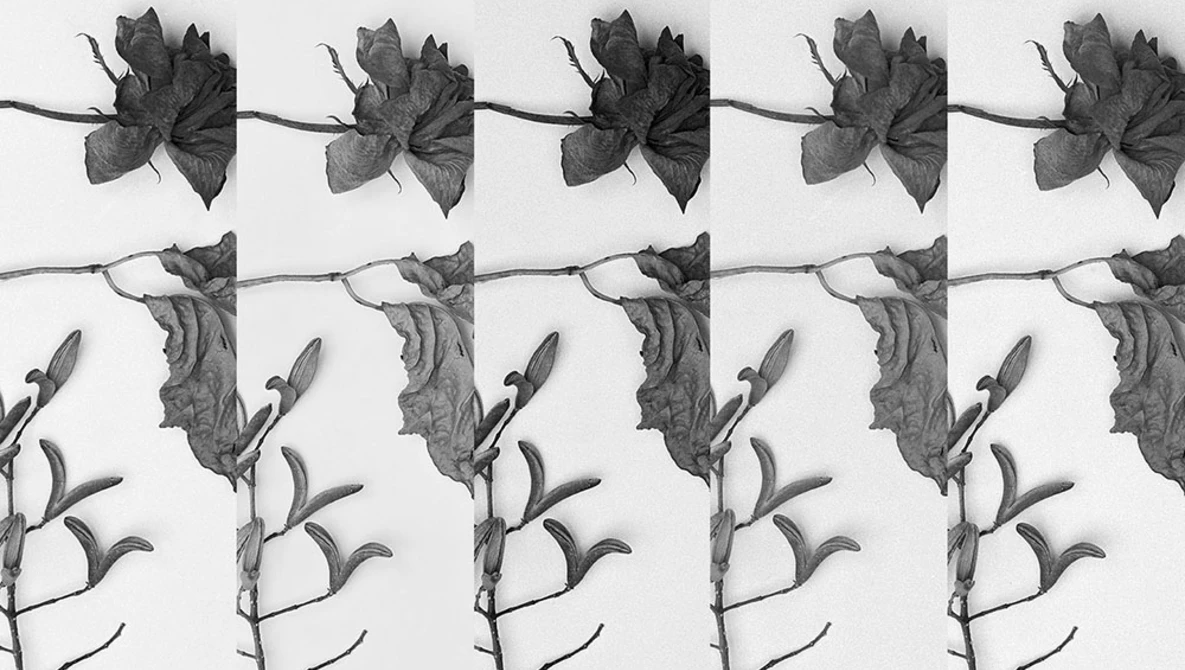 Watch What Type of Black and White Film Should you Shoot? on YouTube.