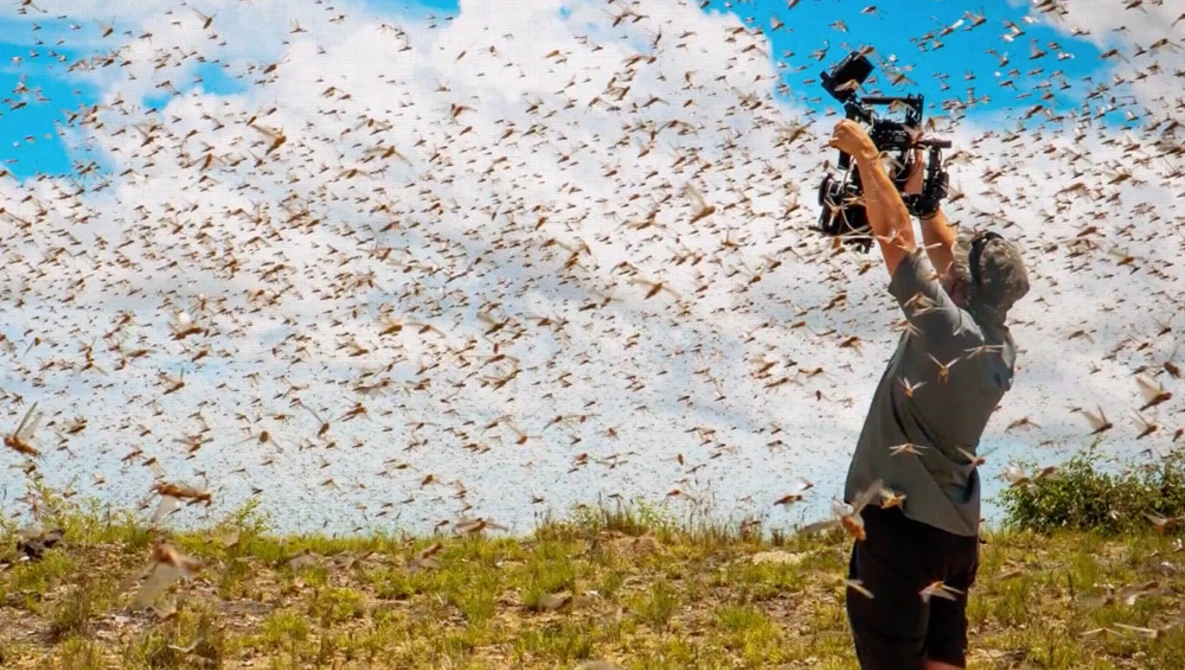Watch How the BBC makes Planet Earth look like a Hollywood movie on YouTube.