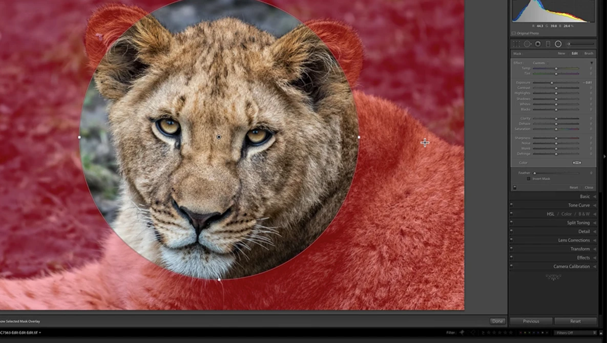 Watch Lightroom Quick Tips - Episode 90: Radial Filter Tips on YouTube.