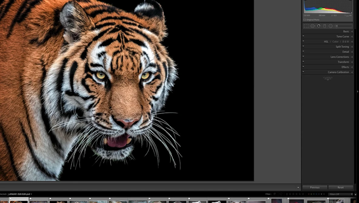 Watch Lightroom Quick Tips - Episode 92: Optimize Lightroom Performance on YouTube.